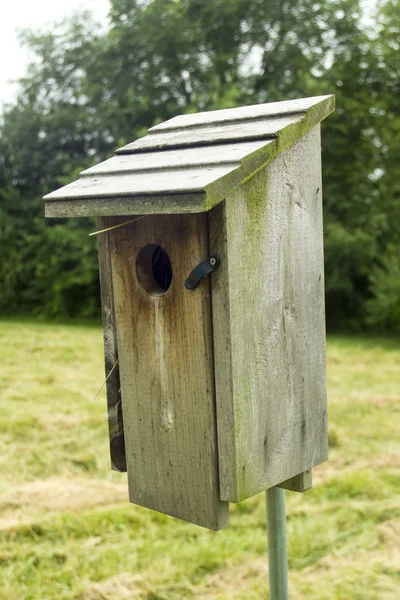 Bluebird House Out In A Pasture — Stok fotoğraf