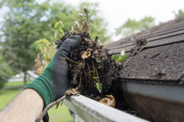 Cleaning Gutters During The Summer clipart
