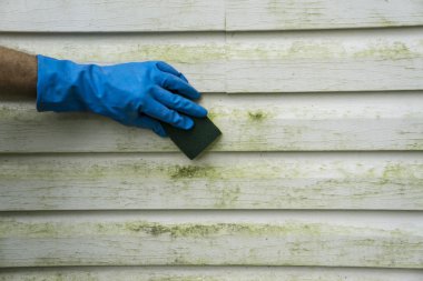 Yosun ve vinil Siding kapalı kalıp ovma 