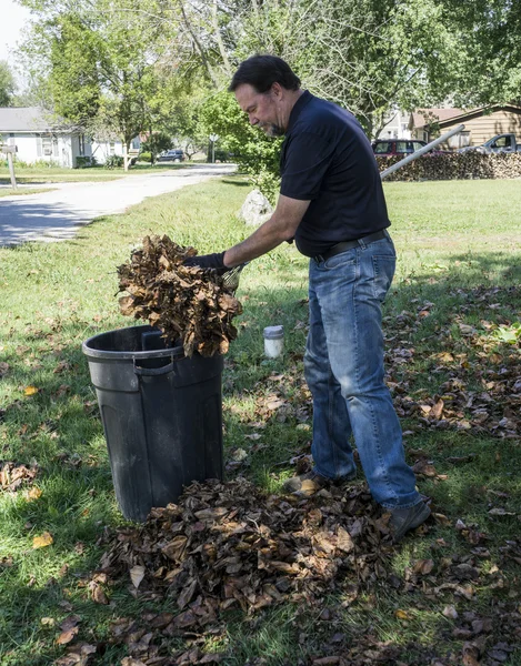Yaprakları bir çöp tenekesine koyarak — Stok fotoğraf