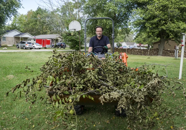 Tondeuse d'arbre avec charge de membres — Photo