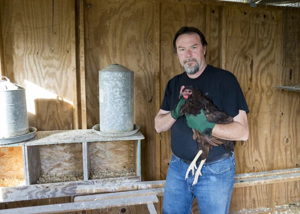 Farmer And One Of His Free Range Chickens — Stock Photo, Image