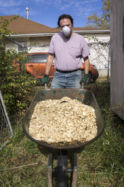 Chicken Farmer Getting Rid Of Used Shavings