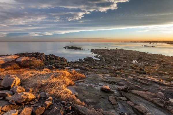 Plaża skalista z złote trawy na zachodzie słońca — Zdjęcie stockowe