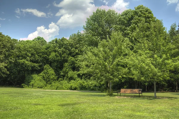 Panchina vuota del parco nel campo erboso verde — Foto Stock