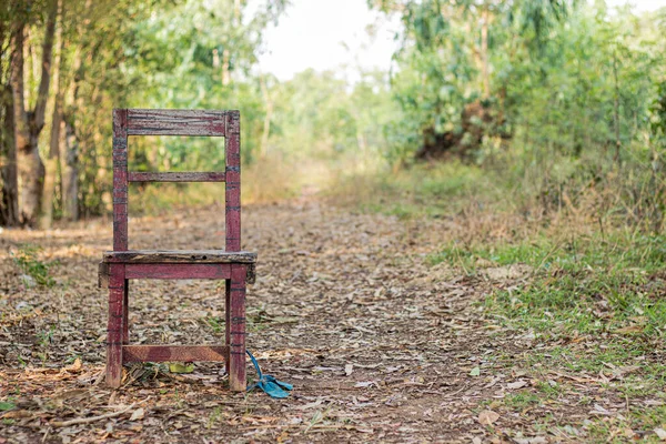 Sessiz bir ormanın ortasında yalnız, eski ahşap sandalyeler. Rahatlamak için mükemmel..