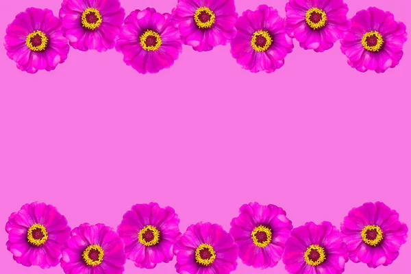 Voorjaarsbloem Roze Bloemen Roze Achtergrond Plak Het Zicht Boven Het — Stockfoto