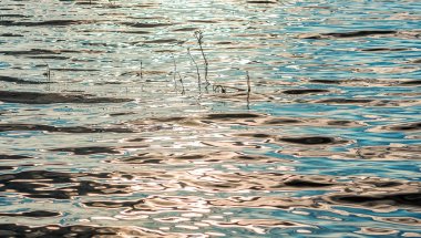 Su yüzeyi yansıtan güneşin arka plan