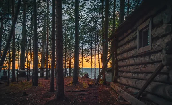 Alte Fischerhütte im Wald — Stockfoto