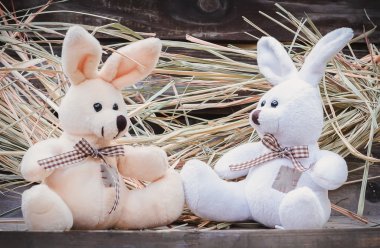 İki oyuncak tavşan 