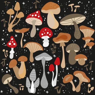 Siyaha izole edilmiş bir dizi vektör çizimi. Beyaz mantar, chanterelles, bal agarics, Champions, fly agarics, morels. Cadının iksiri için bir takım malzemeler. Çizgi film biçimi.