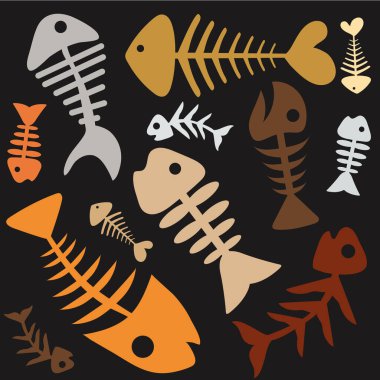 The skeleton of a fish. Archeology. Delicious food. The outline of the skeleton. Underwater world. Excavations. Blanks for creativity. Bad ecology. The death of animals.