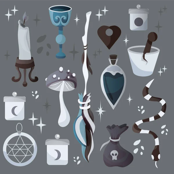 Set Mystical Magical Elements Vector Illustration Items Divination Magic Mushrooms — Stock Vector