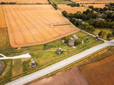 Angla köyündeki eski yel değirmenleri, Saaremaa adasındaki tarlalarla çevrili.