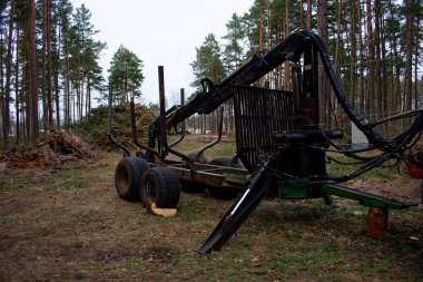 Ormandaki çam ağaçları arasında kereste taşımak için ormandaki eski traktörün bir parçası. Ağaçları kesme konsepti.