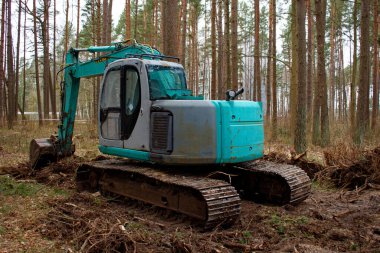 Ormanda kovası olan bir traktör. Ağaçları kesme konsepti.