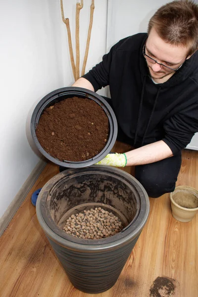 Ground Poured Decorative Flower Pot Soil Palm Trees Plant Transplant — Stock Photo, Image