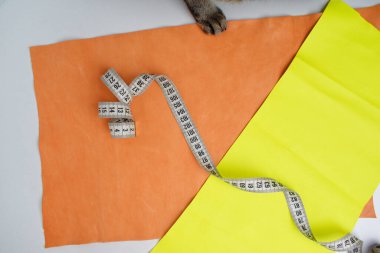 Turuncu ve sarı deri parçaları ve bükülmüş bir santimetre. Çerçevede bir kedinin pençesi.