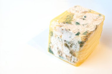 Spoiled cheese on a white plate. Decayed Cheese.