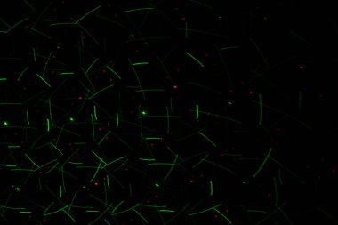 Patterns in green on the wall. Laser background. Party or disco concept.