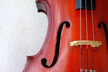 Çello telleri ve bok çukurları. Eski kahverengi çello.