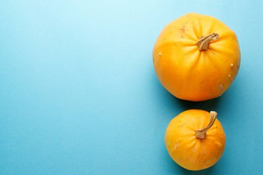 Tatil için mavi arka planda iki dekoratif balkabağı..