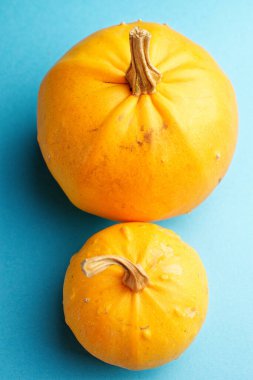 Tatil için mavi arka planda iki dekoratif balkabağı..