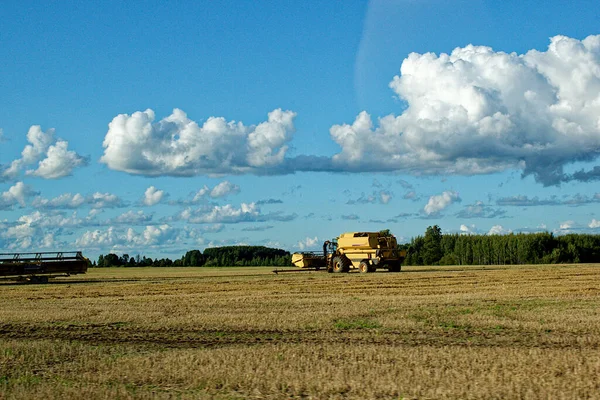 Ernte Auf Den Feldern Dobele Lettland — Stockfoto