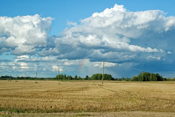 때마다밭을 하늘에 무지개가 라트비아 도벨레 — 스톡 사진
