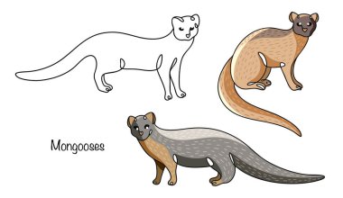 Farklı pozlarda üç el yapımı firavun faresi. Uzun bir vücudu, kalın gri-kahverengi kürkü ve uzun tüylü kuyruğu olan küçük bir hayvan. Bir hayvan temasında izole vektör çizimi.