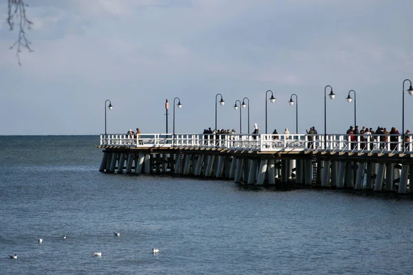 Polonya 'dan kartpostallar: Orlowo İskelesi, Gdynia, Pomerania bölgesi