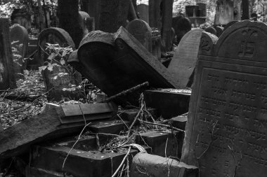 Polonya 'dan kartpostallar: Varşova, Okopowa Caddesi' ndeki eski Yahudi Mezarlığı