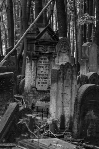 Pohlednice Polska Starý Židovský Hřbitov Varšavě Ulice Okopowa — Stock fotografie