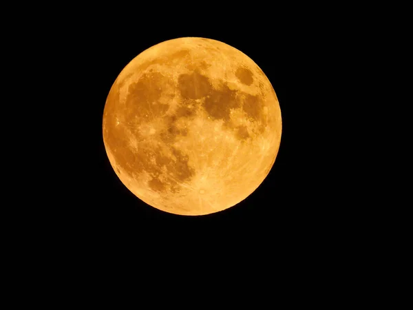 Lua Colheita Completa Laranja Brilhante Mostrando Detalhes Luar Iluminando Fotografia — Fotografia de Stock