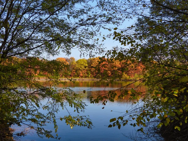 Framed Fall Landscape View Various Autumn Colored Trees Lake Reflection — Stockfoto