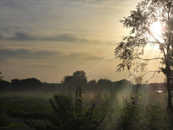 Early Sunrise Forest Clearing Prairie Meadow Sun Shines Tree Sun — Φωτογραφία Αρχείου