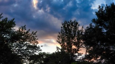 Fırtınalı dramatik gün batımı siluetli akçaağaç ağaçları yumuşacık mavi ve turuncu renkli bulutlar