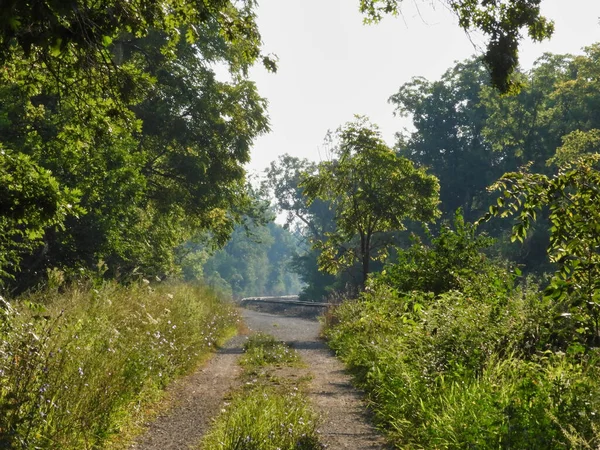 Gerader Weg Aus Dem Wald Die Kurve Der Bahngleise Einem — Stockfoto