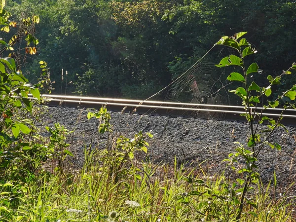 Großes Spinnennetz Funkelt Morgengrauen Mit Bahngleisen Hintergrund — Stockfoto