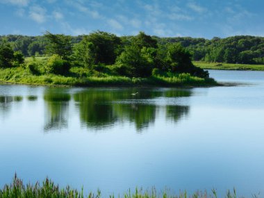 Büyük Akbalıkçıl Kuşu Göldeki Küçük Ada 'nın yanında uçuyor. Sudaki Ağaçların Yansıması ve Parlak Mavi Gökyüzü ile Bulutlar