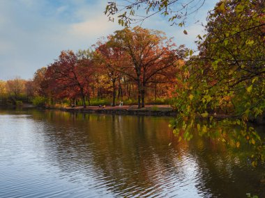 Lakeshore 'da yaprakları kırmızı, turuncu ve sarı olan sonbahar manzaralı Park manzarası ve Mavi Gökyüzü Bulutlarla dolu suya yansıyor