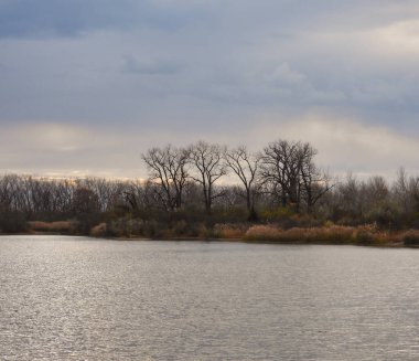 Kasım ayı sonlarında bir sonbahar günü bulutlu bir gökyüzü ile göl boyunca uzanan çıplak ve yapraksız üç ağaç ve kıyı manzarası boyunca renkli yapraklar.