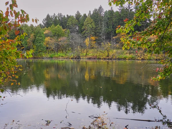 Herfst Landschap Met Meer Kalme Lakefront Uitzicht Herfst Omlijst Door — Stockfoto