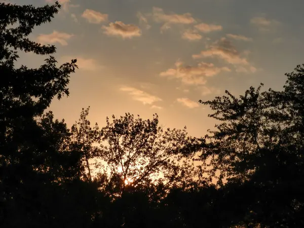 Λαμπερό Ηλιοβασίλεμα Χνουδωτά Σύννεφα Κίτρινο Πορτοκαλί Και Μπλε Ουρανό Σιλουέτες — Φωτογραφία Αρχείου