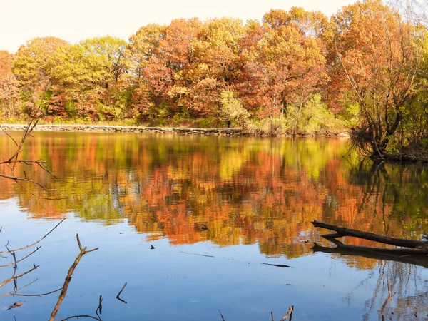 オレンジ 黄色の葉木々に覆われた森10月の秋の景色を眺めながら湖に沿って湖に反射します — ストック写真
