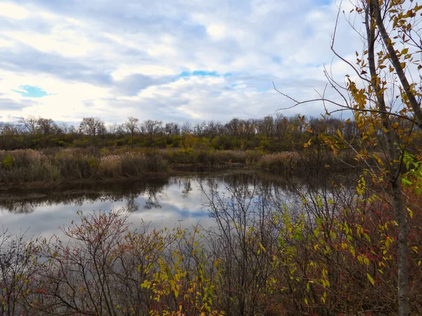 Lac Automne Regarder Travers Genre Fin Automne Sous Beau Ciel — Photo