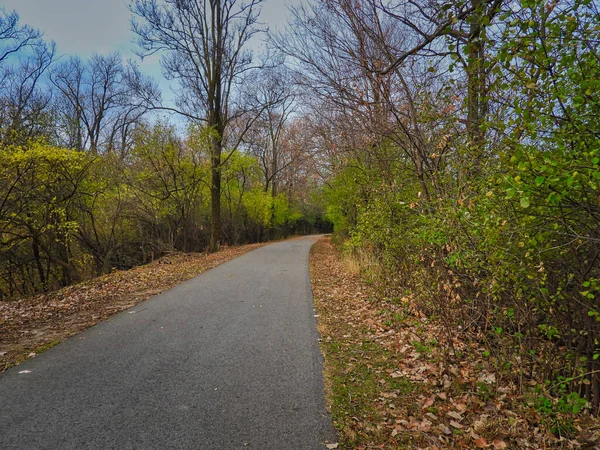 Camino Bosque Camino Pavimentado Curva Bosque Día Otoño Con Una —  Fotos de Stock