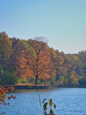 Turuncu Akçaağaç 'la Sonbahar Günü Yolu Yürüyen ve Banklarda Oturan İnsanlarla Ormanda Yarısı Dolu Kalır Gölü Koruyun