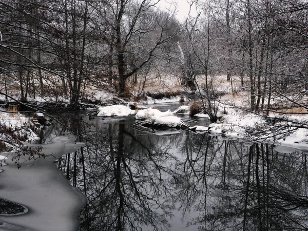 Řeka Zimě Řeka Otevírá Malého Rybníčku Muškatami Domy Vodě Pokryté — Stock fotografie