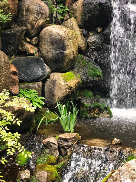 Waterfall in the Forest: Water stream in the background in a stone covered waterfall with a green plant growing in the center of the second waterfall tier